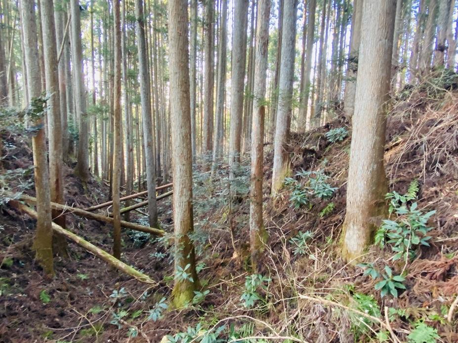 津谷館