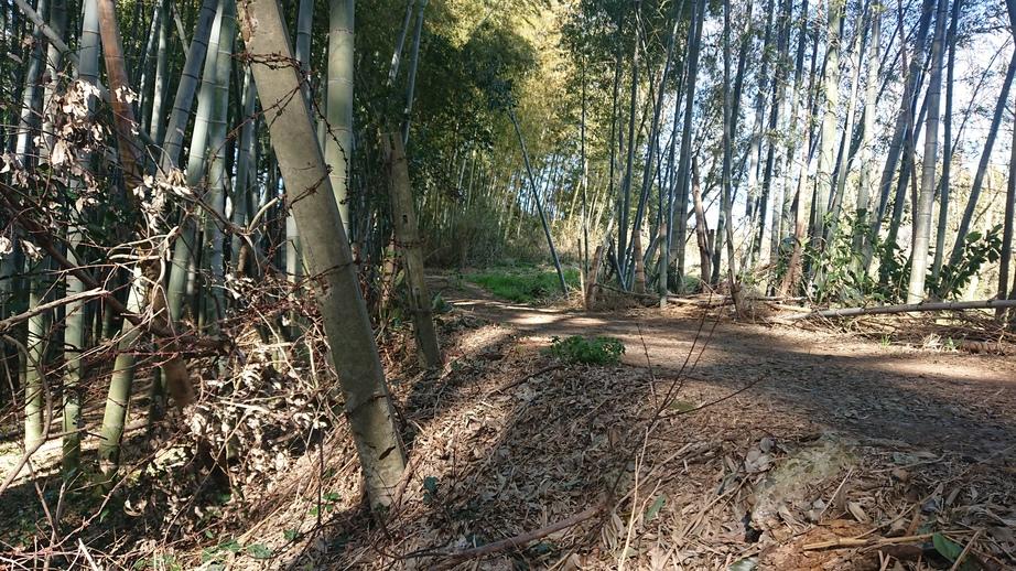馴馬城