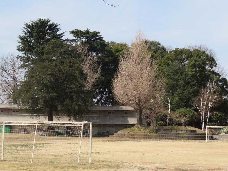 下田島城