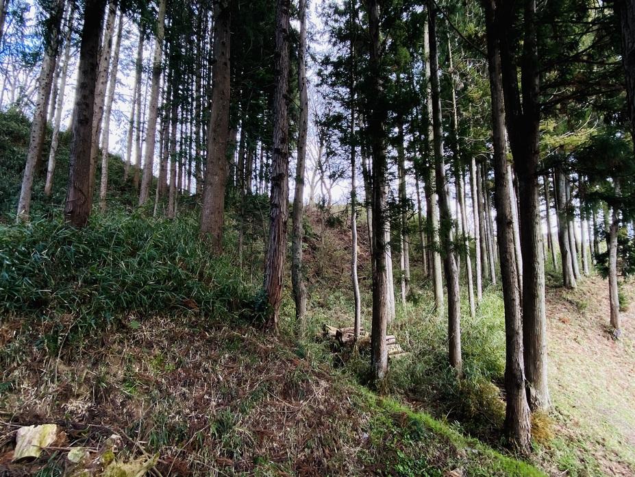 津久毛橋城