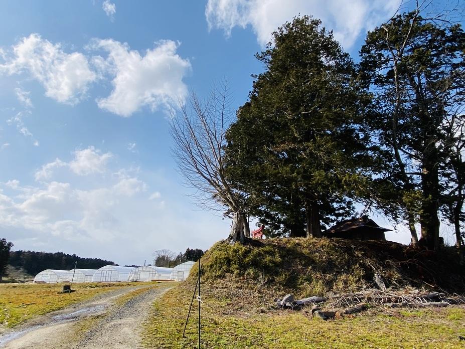宮沢城