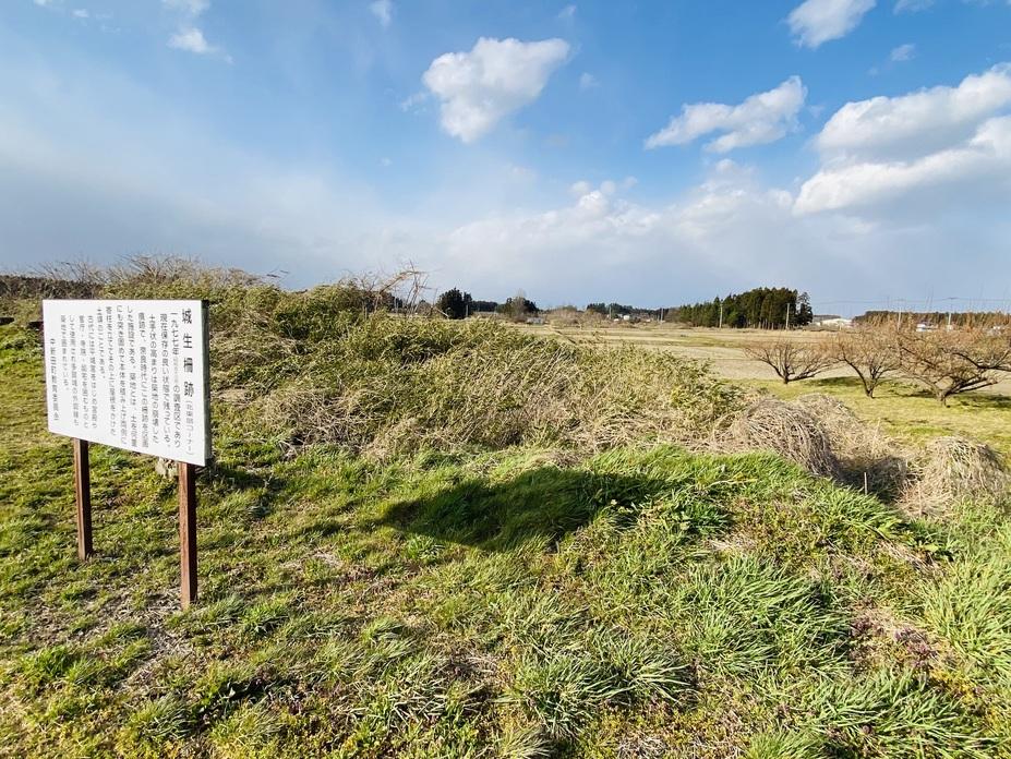 城生柵