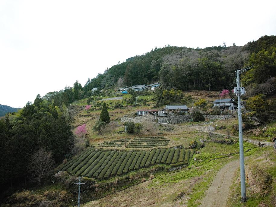 豊永城