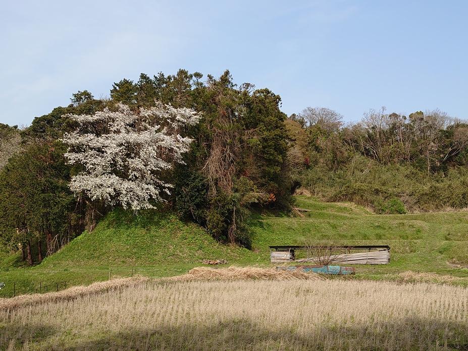 佐貫城