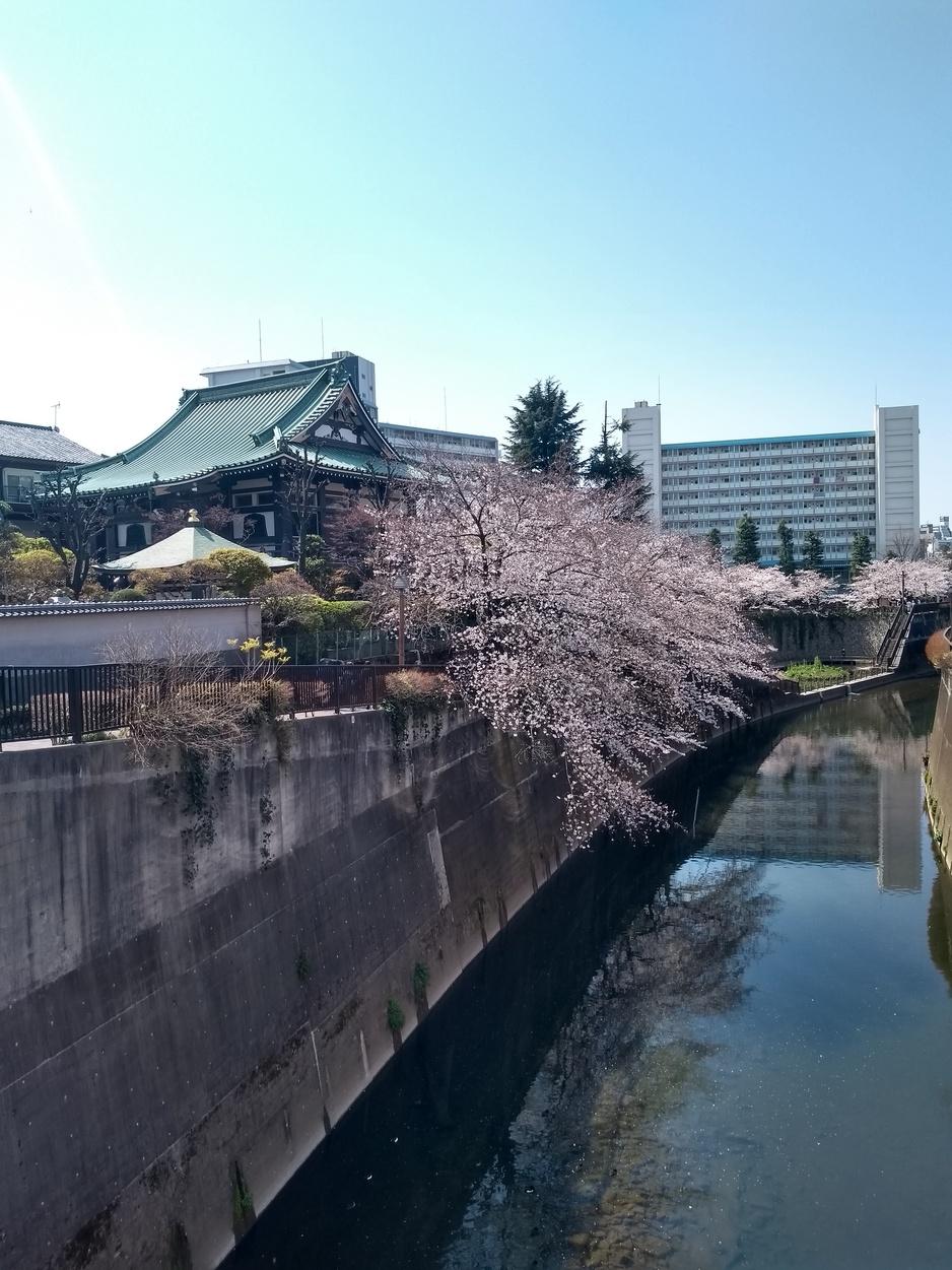 滝野川城