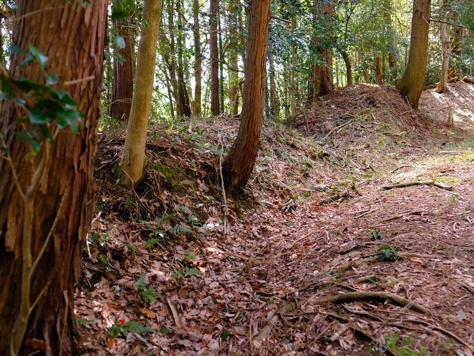 柏野城