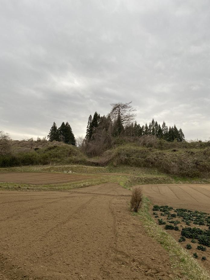 根添城