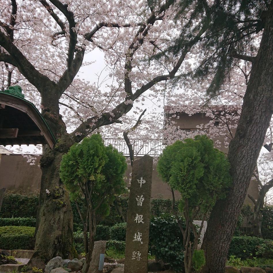 中曽根城