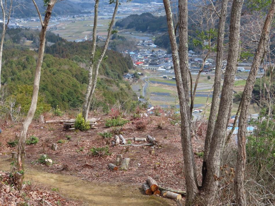 佐井田城