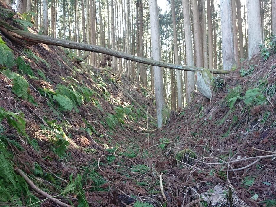 楢岡城