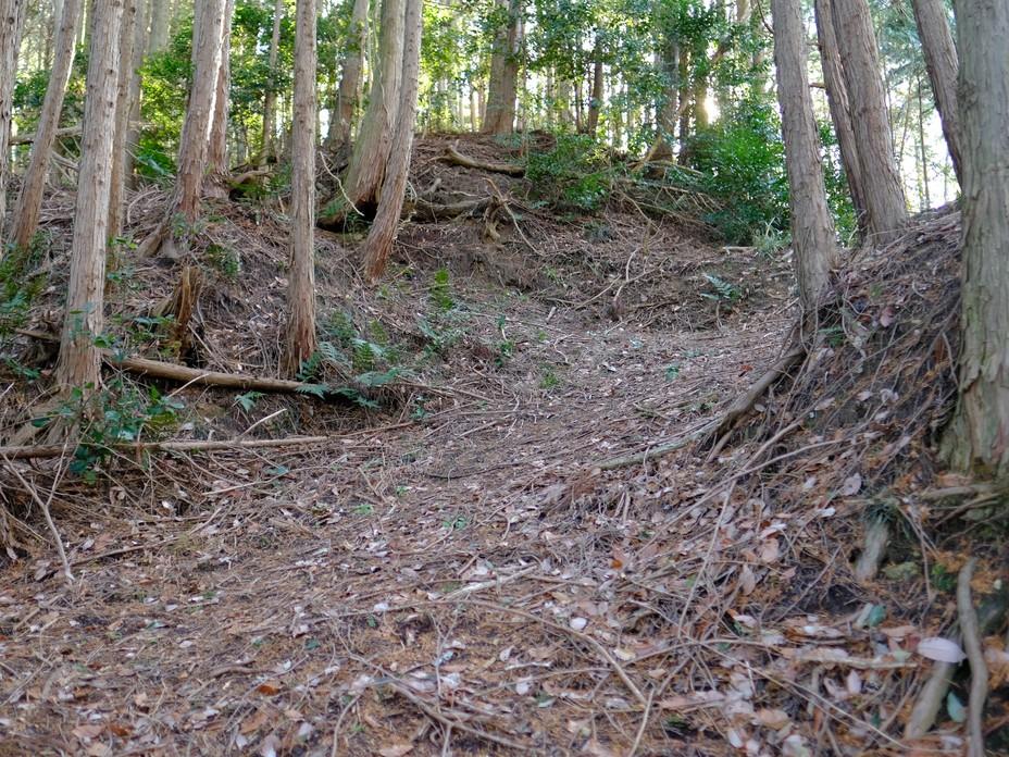 丸山城