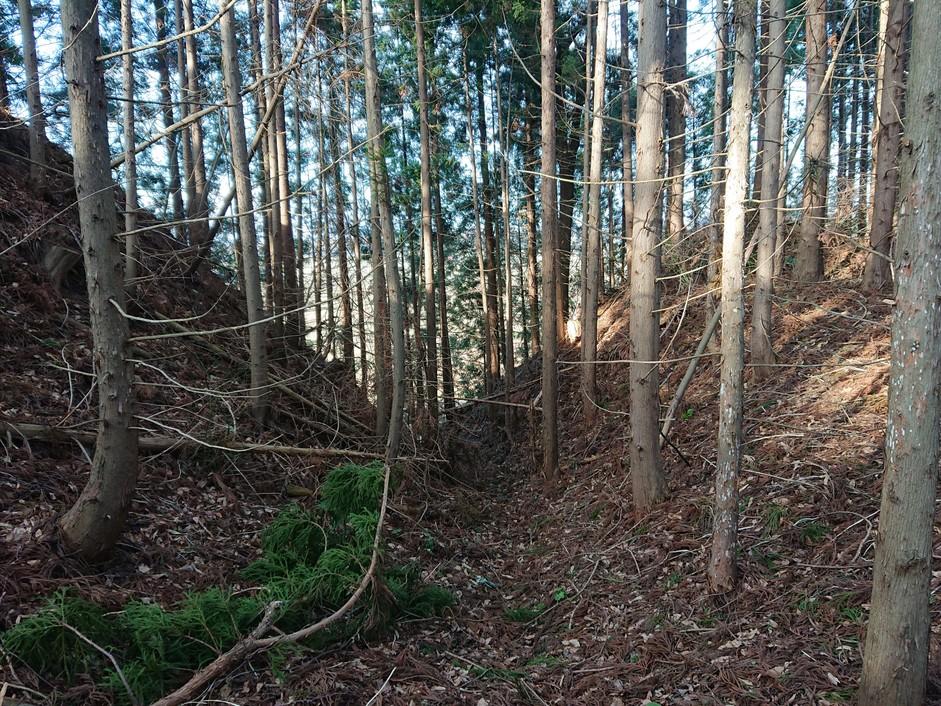 雫石城