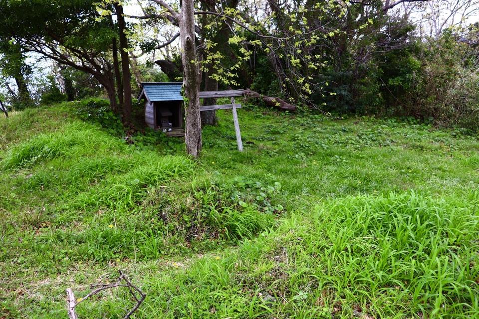 丸山城