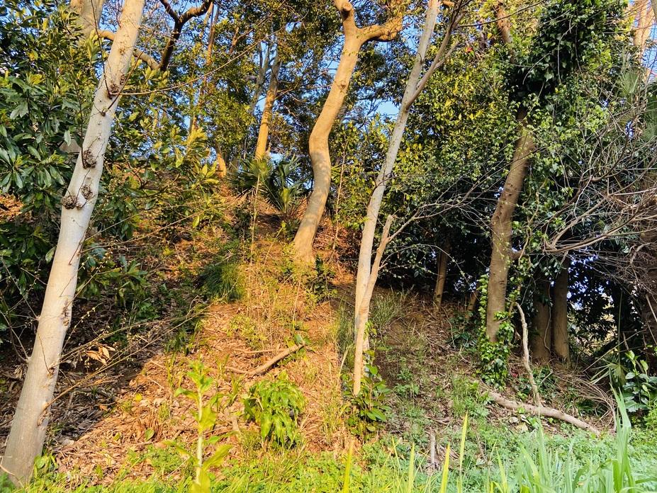 馬加城