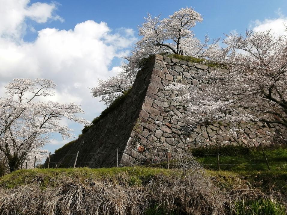 篠山城