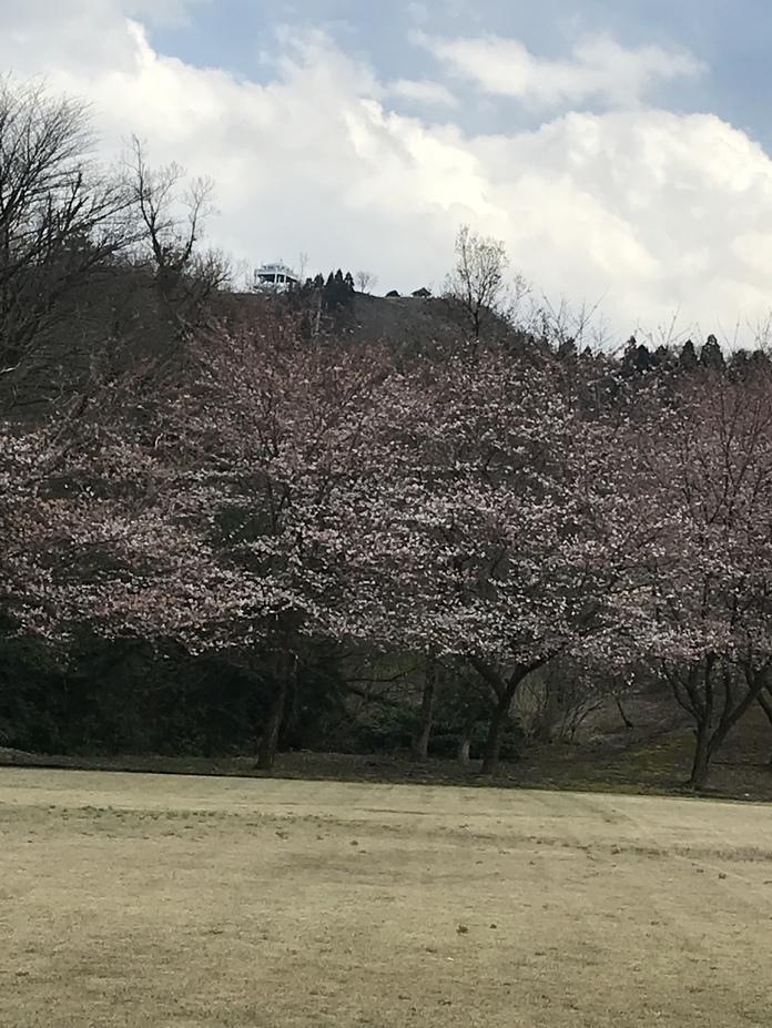 猿倉城