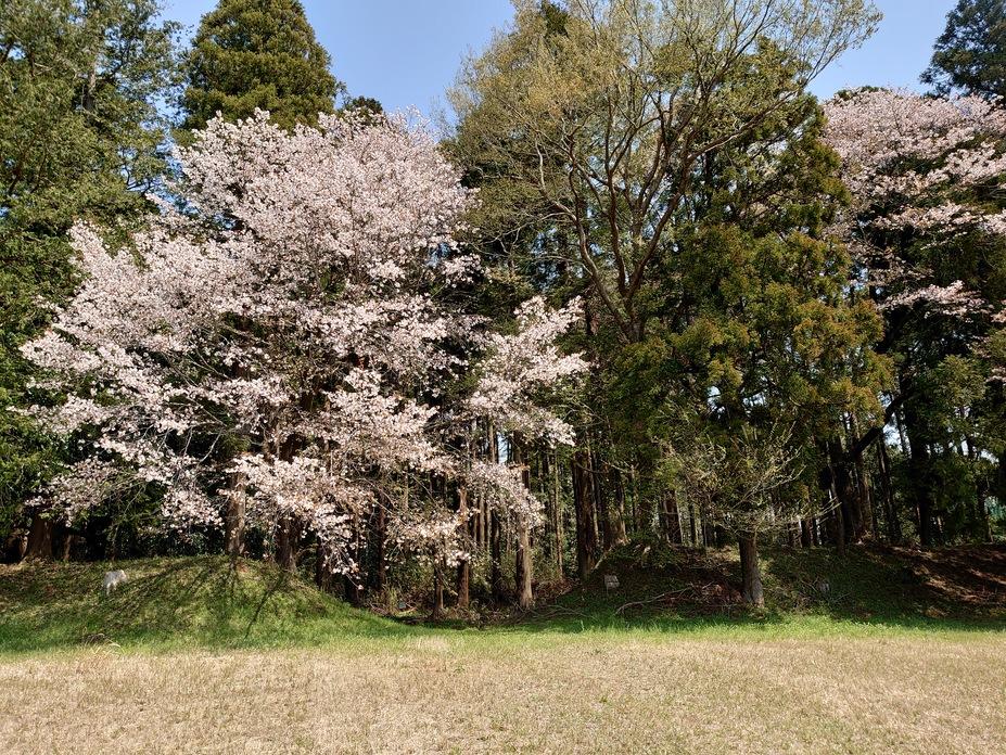 御茶屋御殿