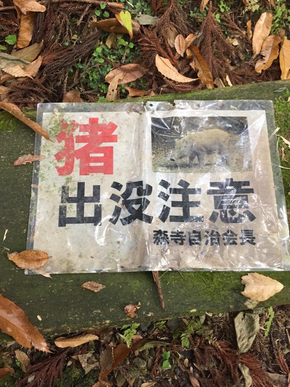 森寺城
