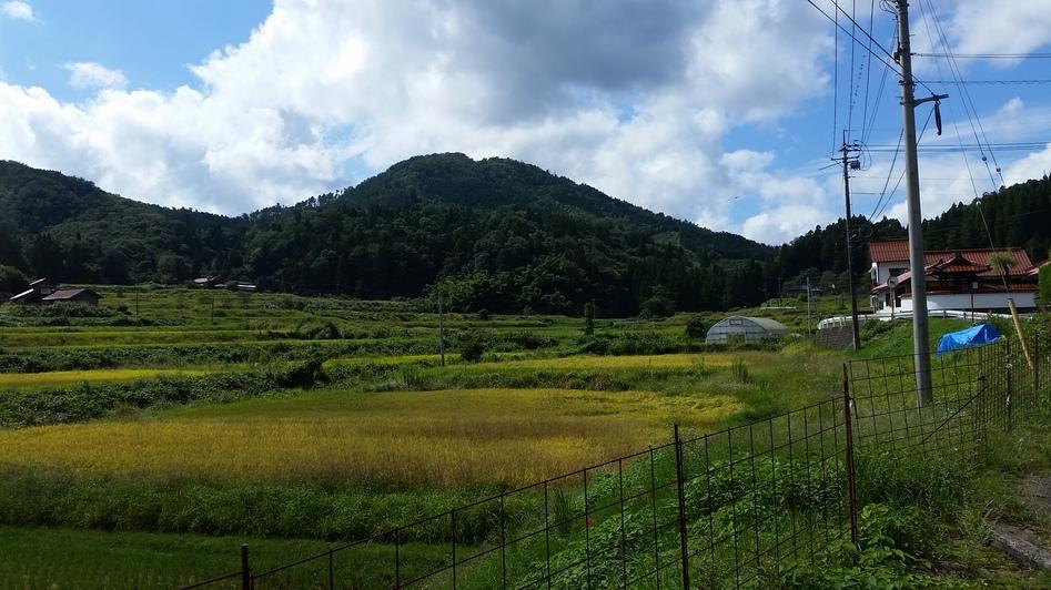 丸山城