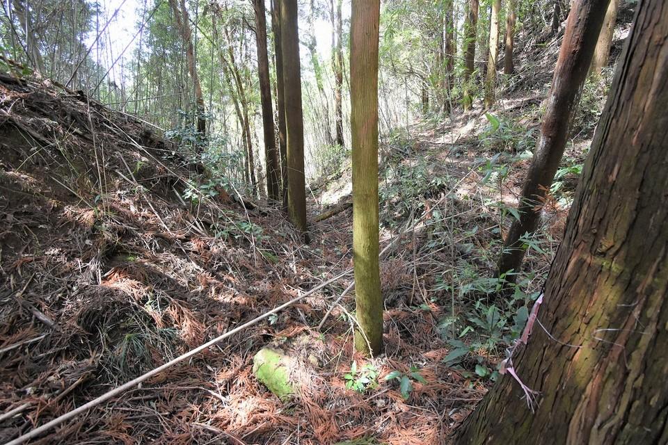 勝尾城筑紫氏城館