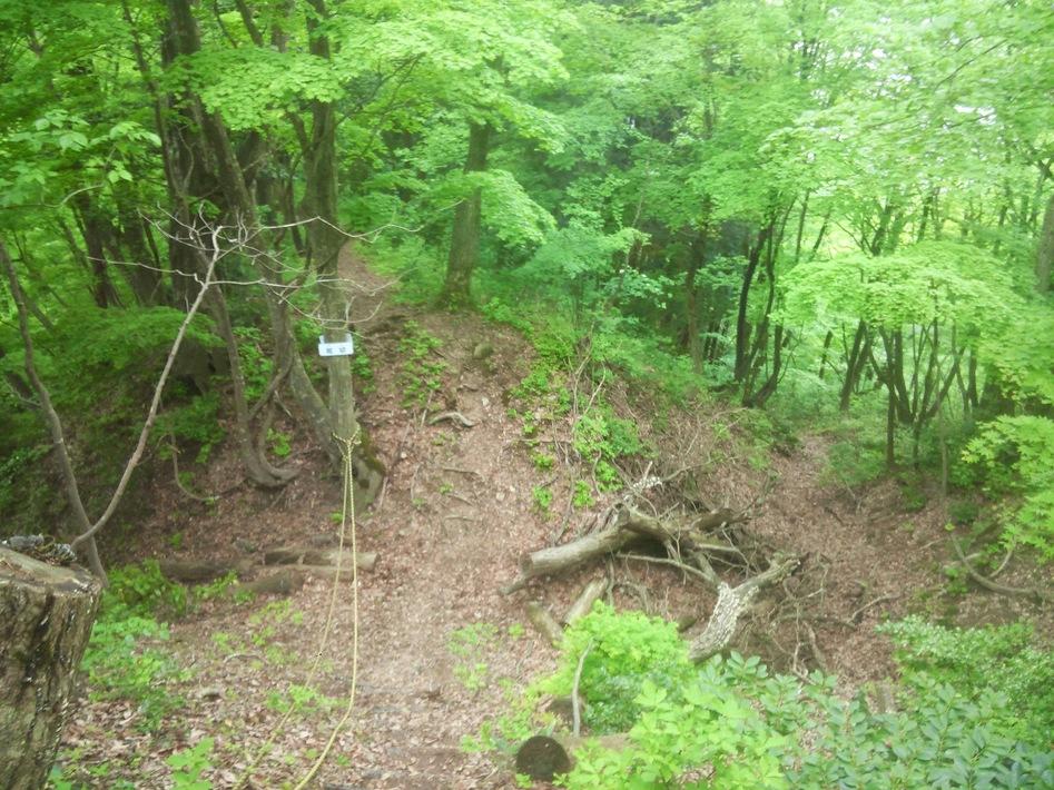 戌山城