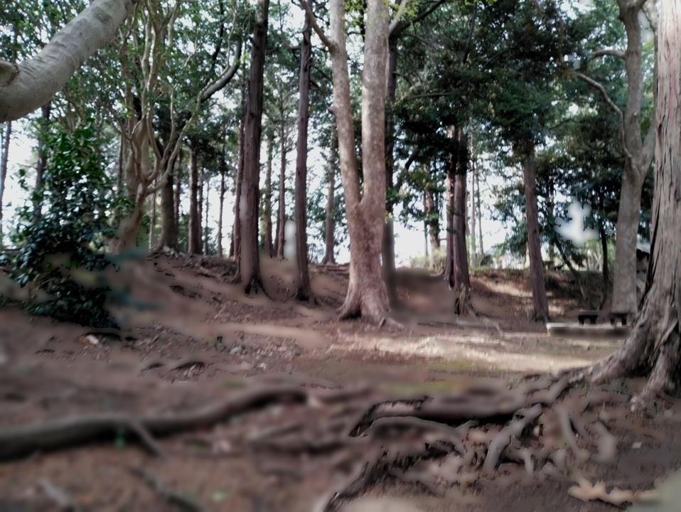 長久保城