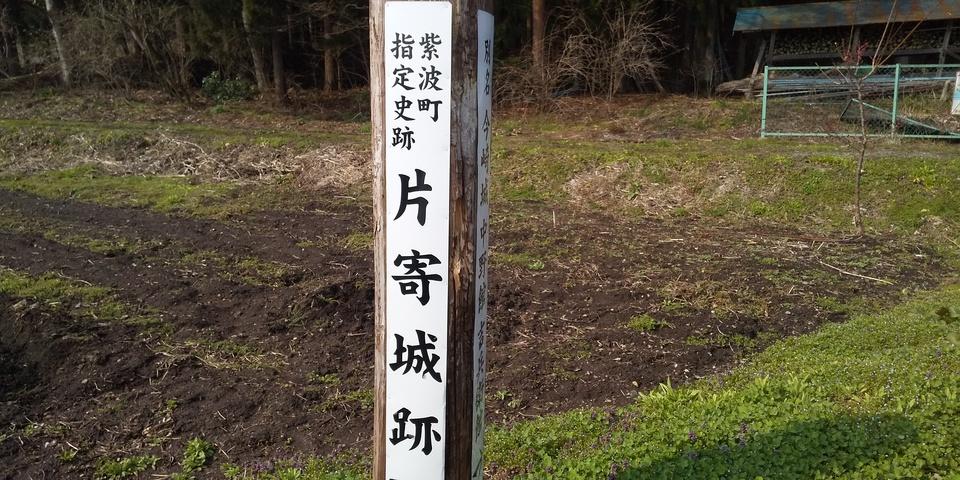 柳田館