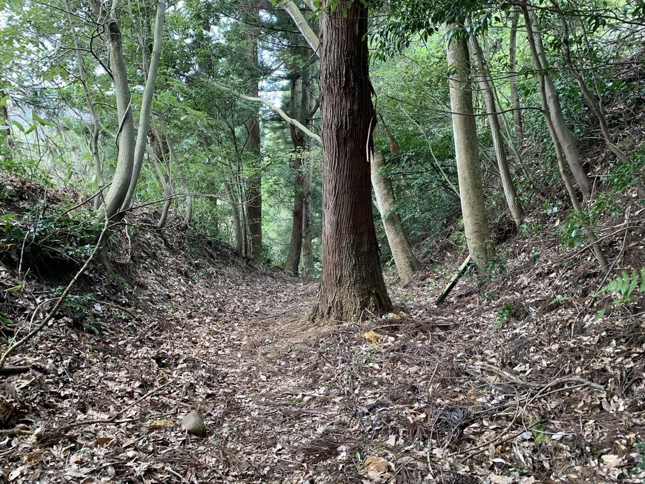 城生城