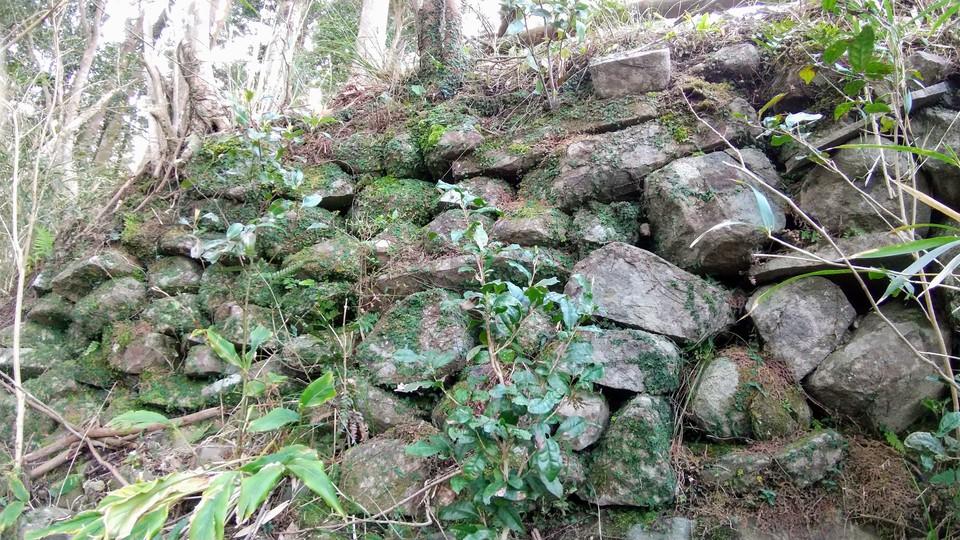 高尾城