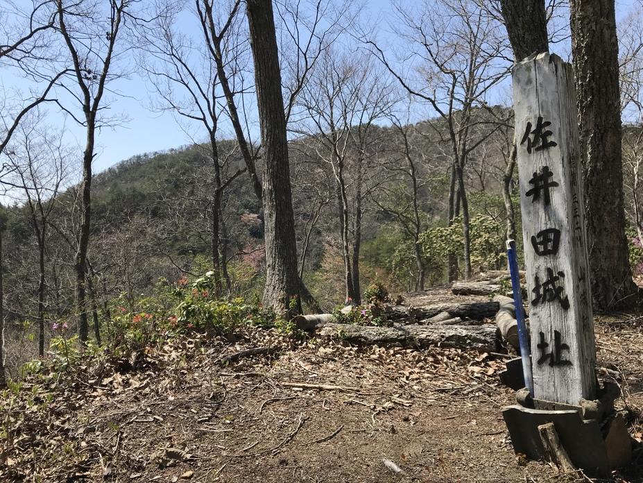 佐井田城