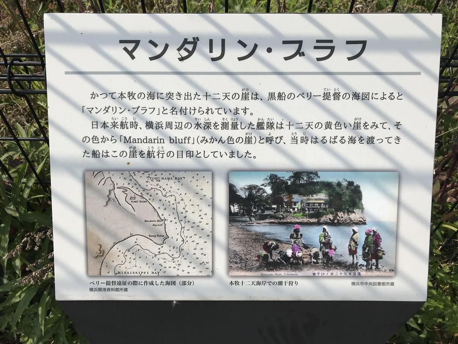 護国山台場