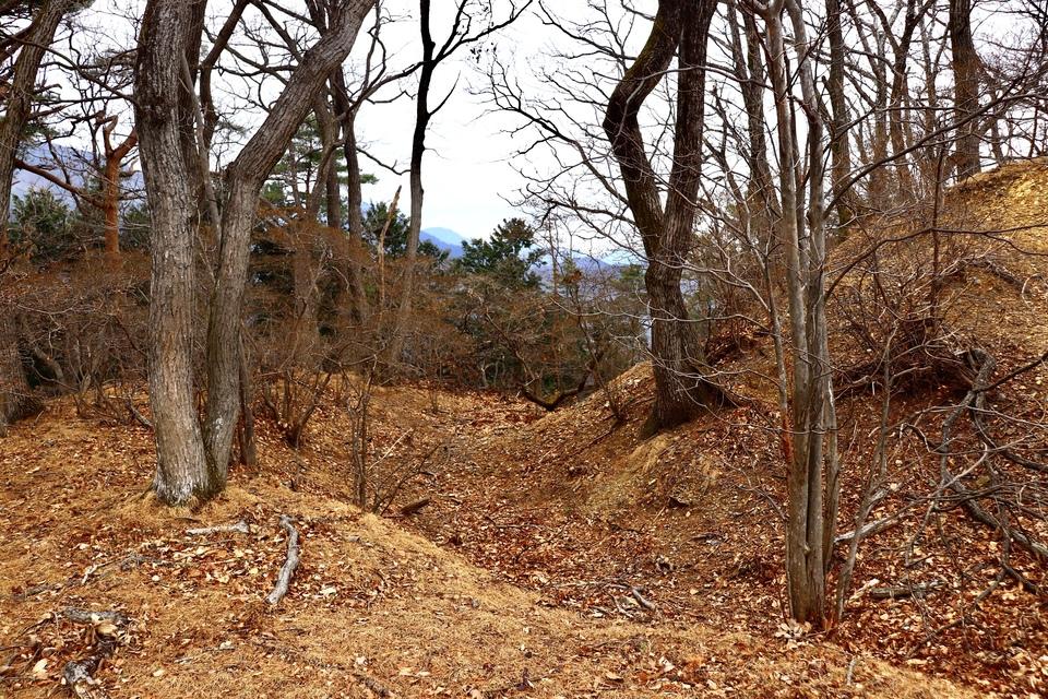 桐生城