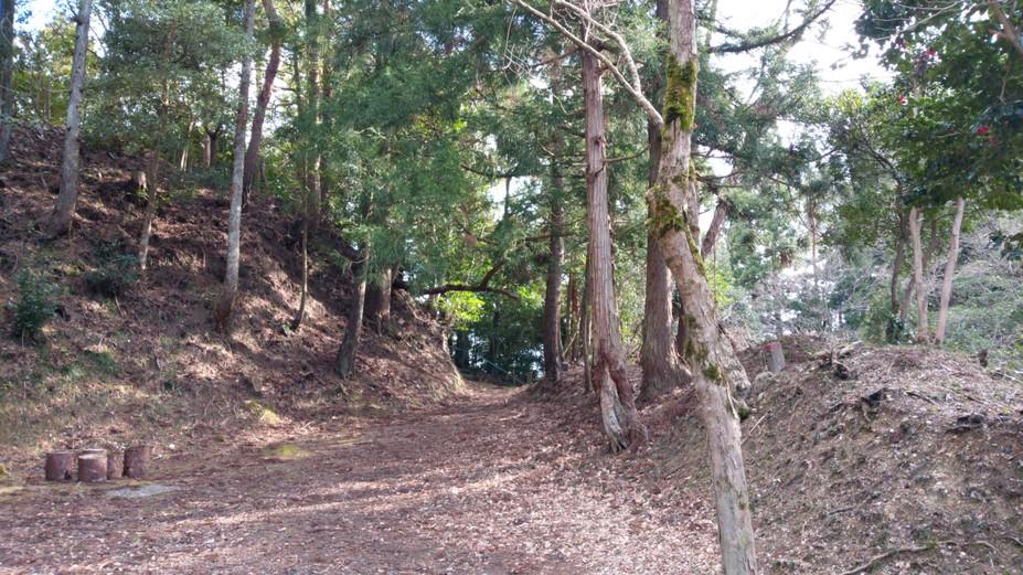 松波城