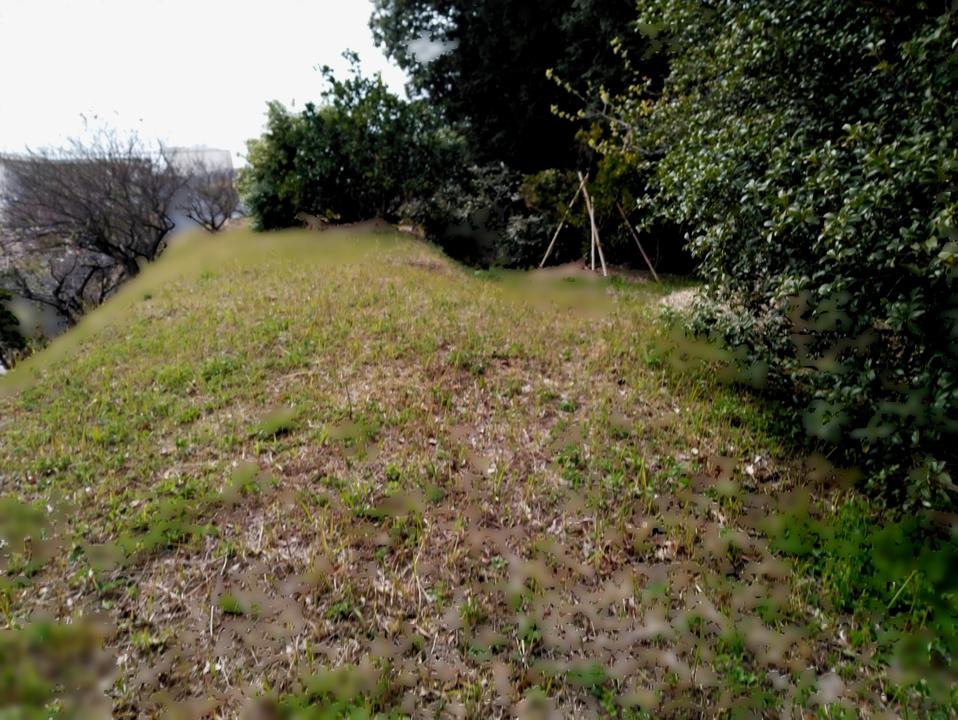 長久保城