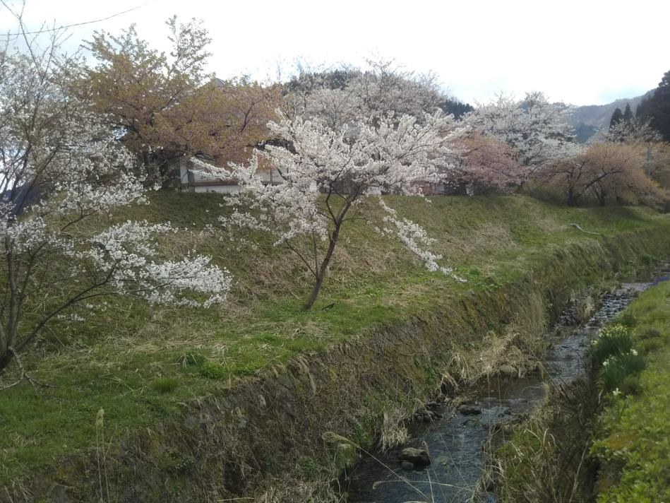 伊自良氏館