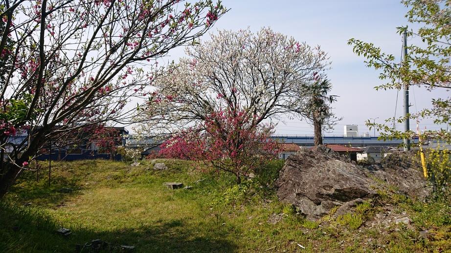 津田城
