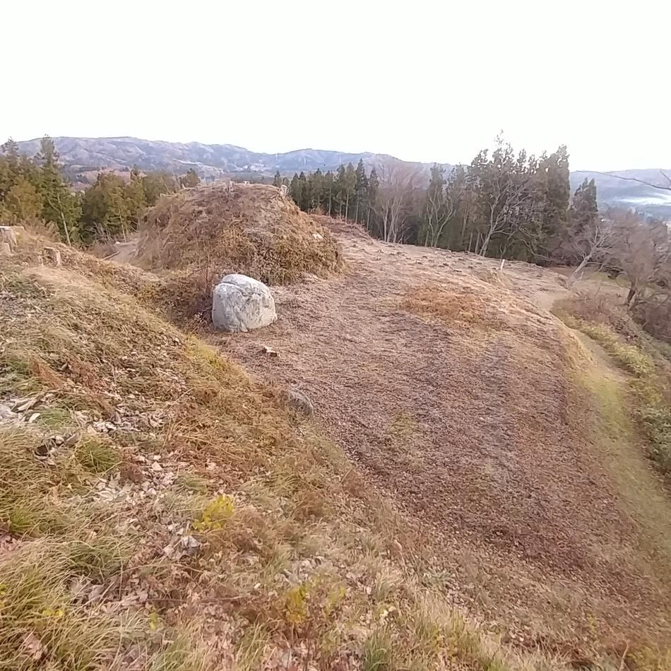 野手崎城