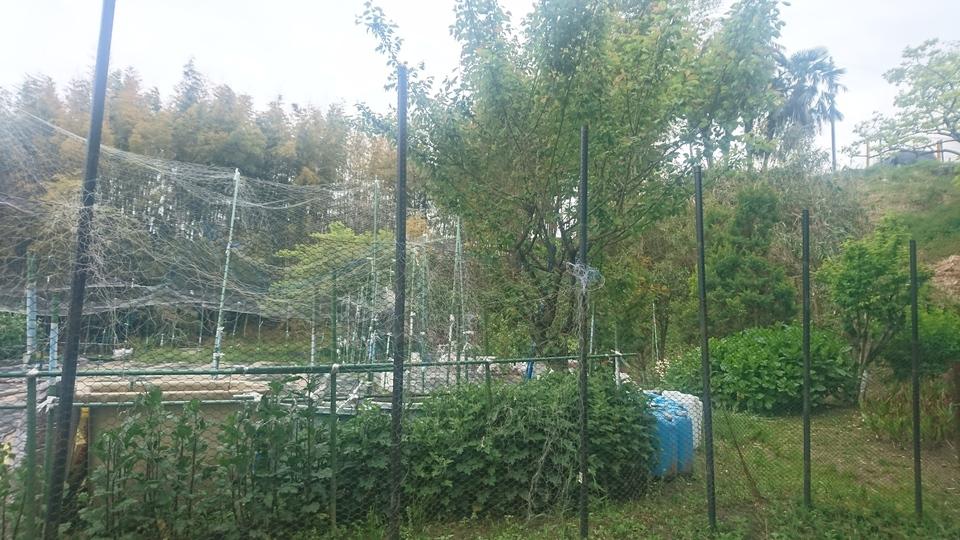 山田城