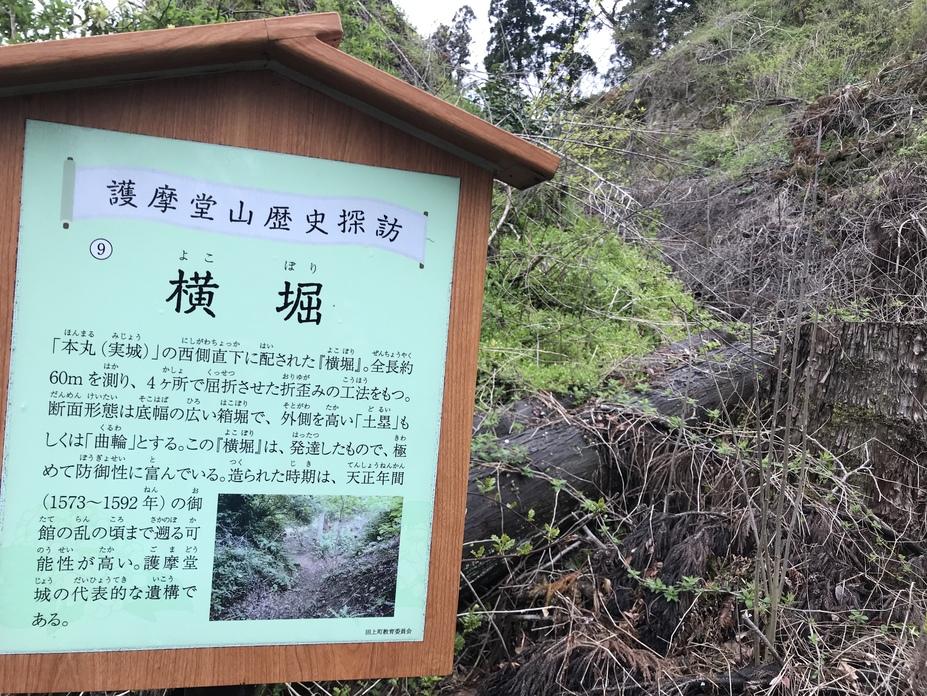 護摩堂城