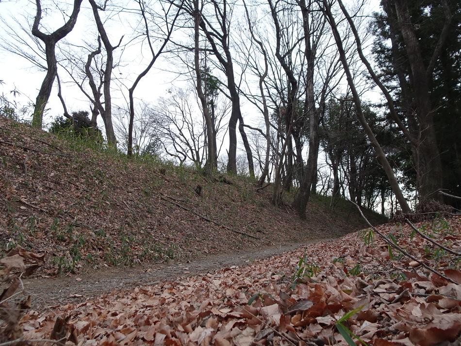 山上城