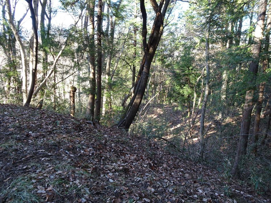 勝山城