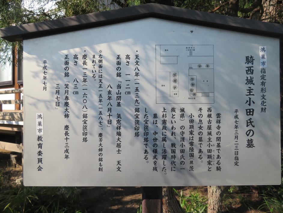 種垂城