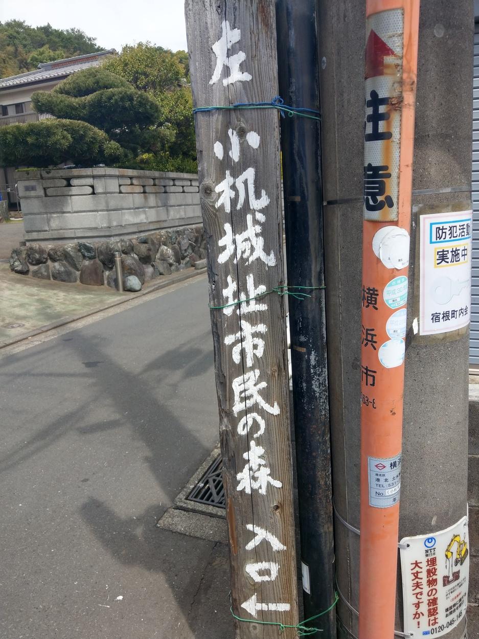 小机城