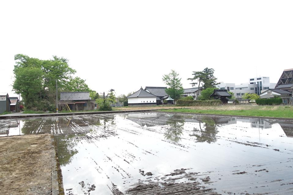 蜷川館