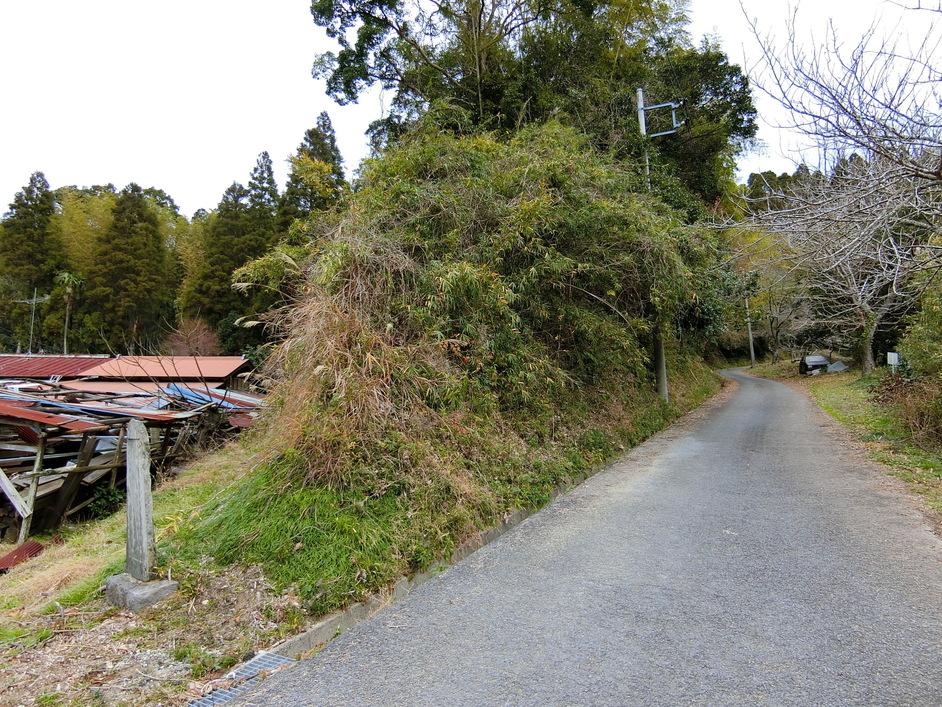 庁南城