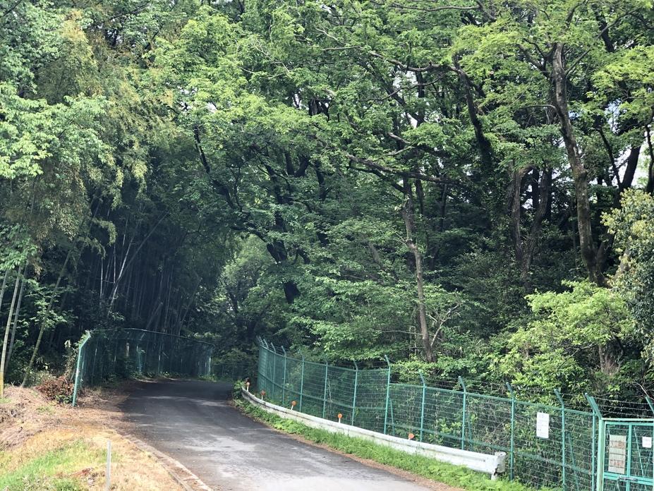 根古屋城