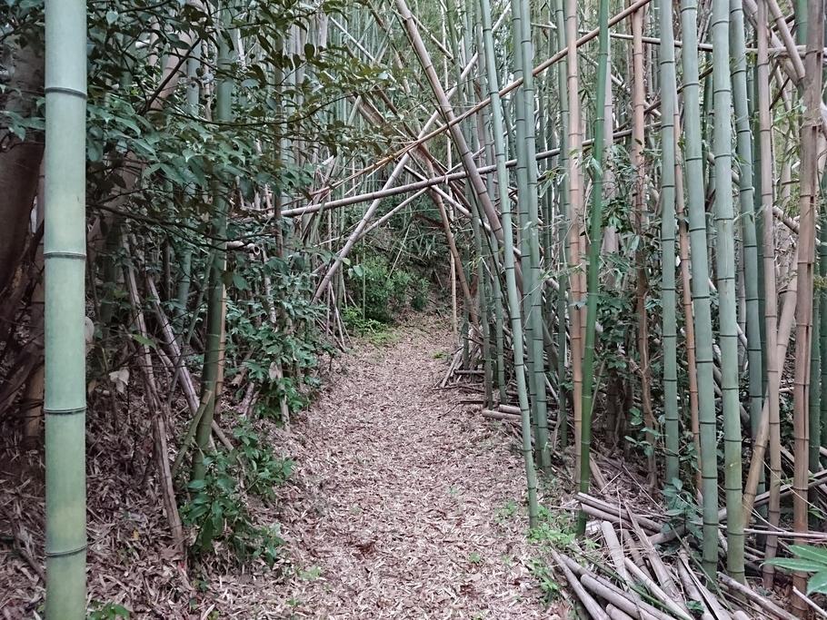 羽茂城