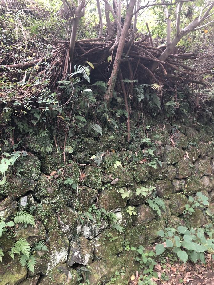 東川別役城