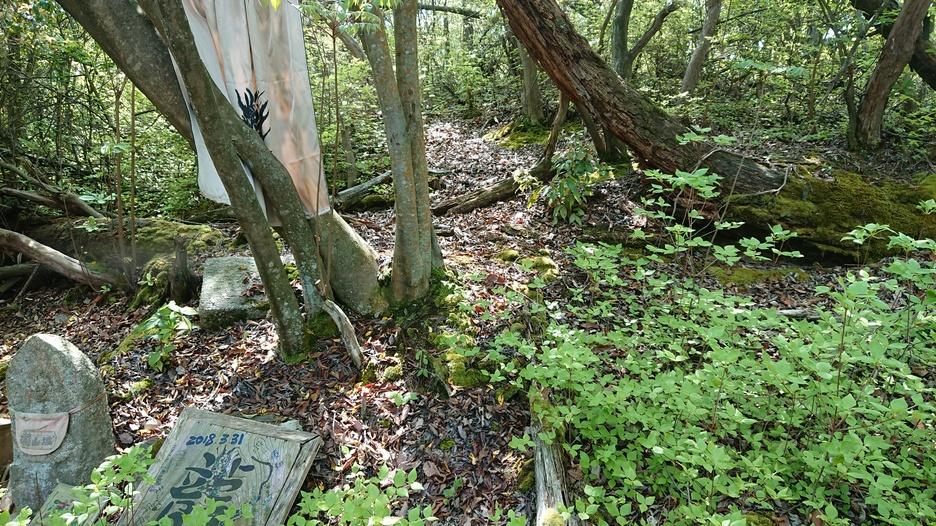 志川滝山城