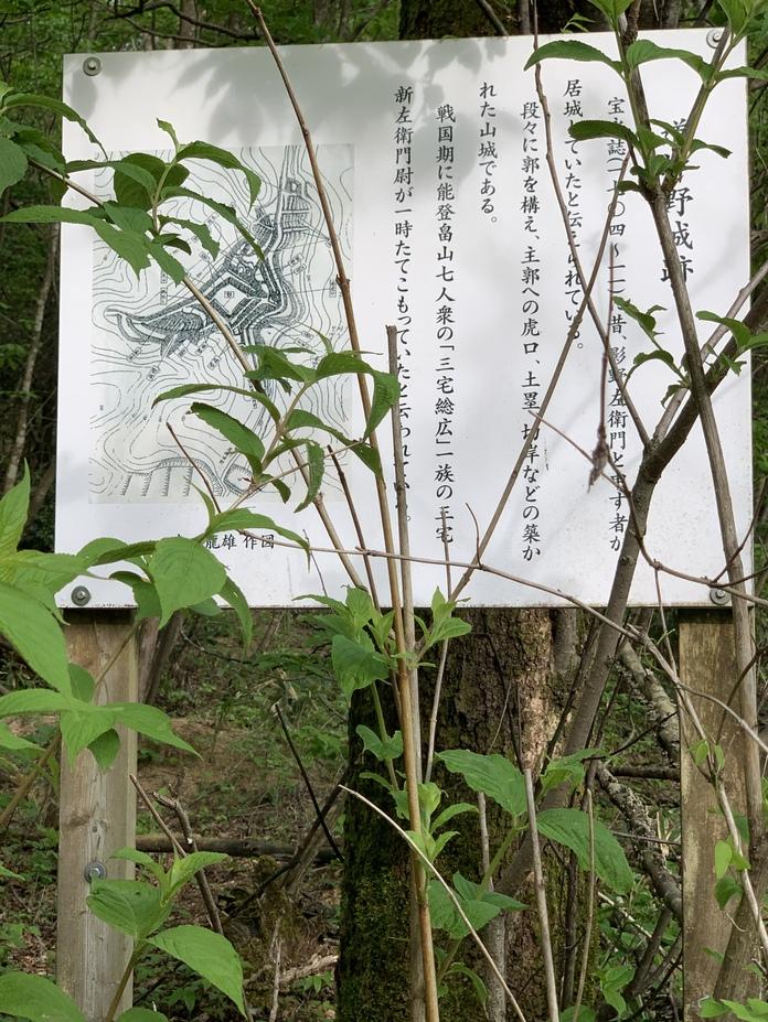 道坪野城
